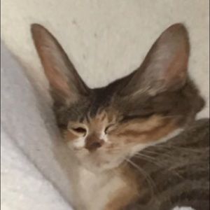 Meet your Posher, Aiden